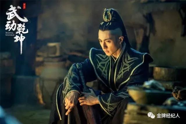 吴尊的个人资料（吴尊从偶像到反派）(11)