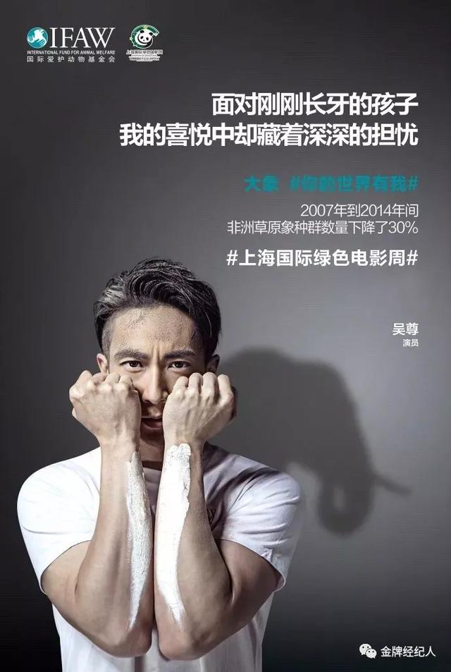 吴尊的个人资料（吴尊从偶像到反派）(28)