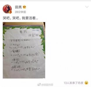 ​田亮儿子作诗《春雨》实力坑爹，田亮看完想哭！