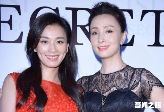 张庭林瑞阳事件再度升级-张庭夫妇翻车牵连到的明星有哪些(2)_