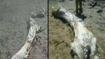 ​价值100亿的《清明上河图》千年之谜被揭开，张择端：终于被发现