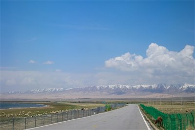 ​三问青海湖围栏挡景：修建围栏是赶游客入景点还是另有缘由