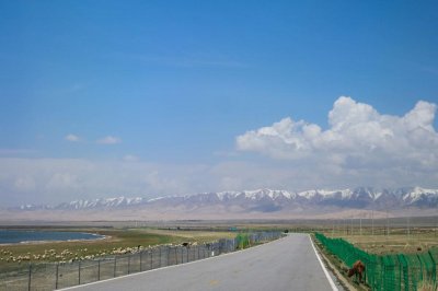 ​为什么修建赶游客入景点三问青海湖围栏挡景