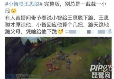​小智diss王思聪原因始末分析 这是什么梗为什么会火