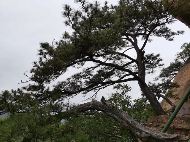 千山旅游最有效的旅游攻略（自驾游千山旅游攻略）(59)