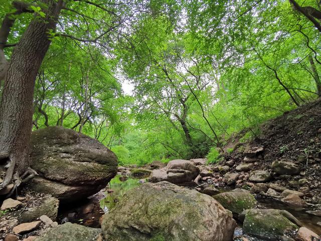 千山旅游最有效的旅游攻略（自驾游千山旅游攻略）(49)