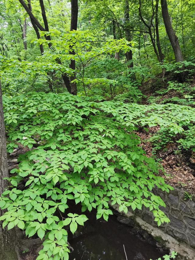 千山旅游最有效的旅游攻略（自驾游千山旅游攻略）(37)