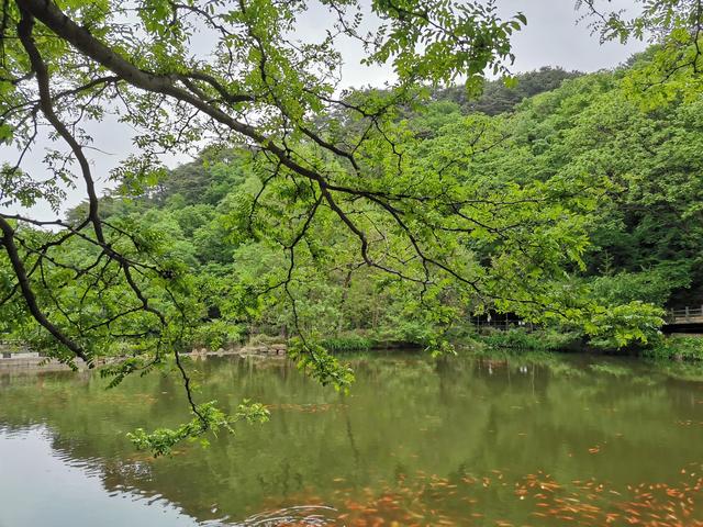 千山旅游最有效的旅游攻略（自驾游千山旅游攻略）(39)