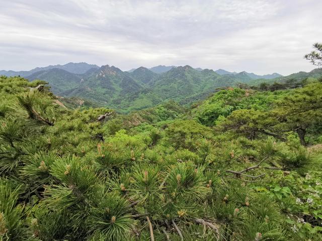 千山旅游最有效的旅游攻略（自驾游千山旅游攻略）(8)