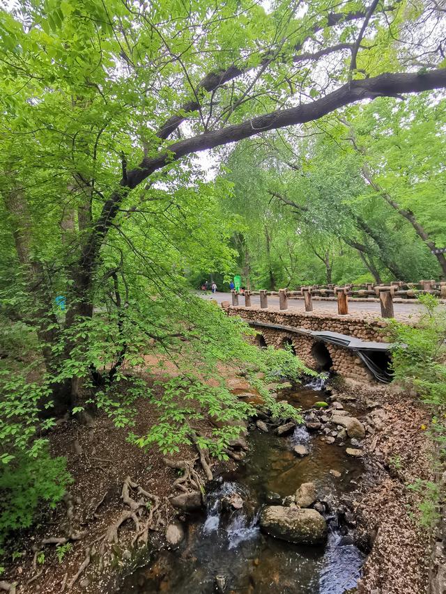 千山旅游最有效的旅游攻略（自驾游千山旅游攻略）(51)