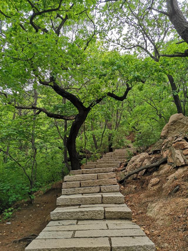 千山旅游最有效的旅游攻略（自驾游千山旅游攻略）(67)