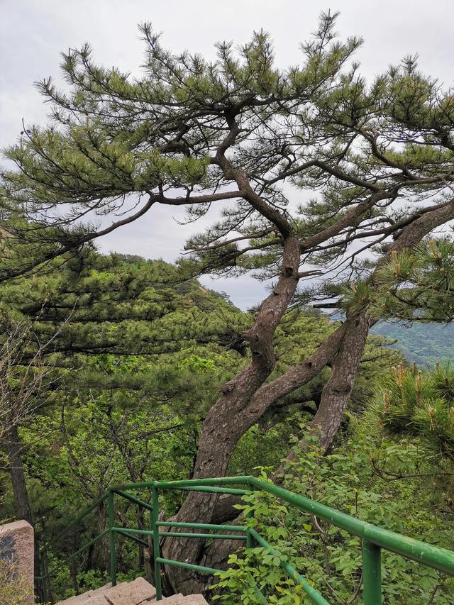 千山旅游最有效的旅游攻略（自驾游千山旅游攻略）(5)