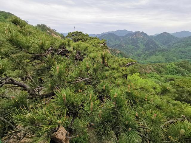 千山旅游最有效的旅游攻略（自驾游千山旅游攻略）(7)