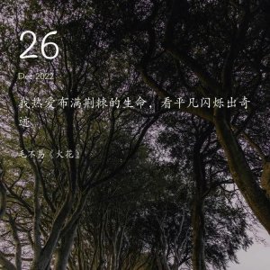 ​仪式感