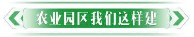 ​潍有双百双千 坊显振兴力量丨打造标准化产业链，从一颗种子到一盘好菜