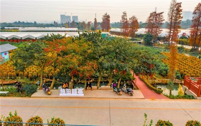 ​农村种植业，有哪些短期比较赚钱，又能长期发展的好项目？