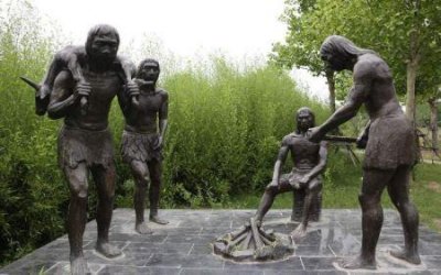 ​未解之谜：远东豹 远东豹重要分布在哪里