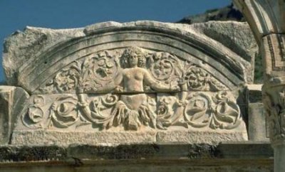 ​狐狸冬天会换毛吗？