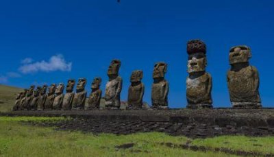 ​世界上最大牛魔王，重达1200公斤，老虎见了只能逃跑