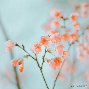 ​书荒推荐丨盘点20本不容错过的快穿小说，《女配（快穿）》超赞