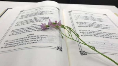 ​曾随泰坦尼克号沉入海底的这本绝世奇书，金庸把它写入武侠小说