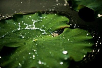 ​最喜欢狂上加狂的四本小说，本本经典！附书评