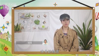 ​干燥剂成分