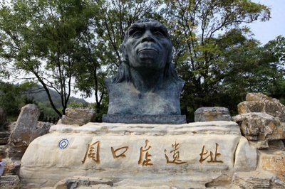 ​北京人：直立行走的先驱，如何在野兽横行的世界中生存