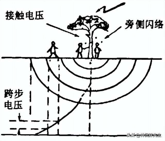 安徽一广场上多9人遭雷击2人身亡（安徽某广场4人遭雷击1人身亡）(9)