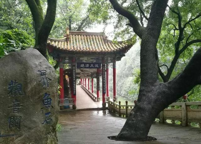 云南玉溪抚仙湖旅游（美丽云南第二季）(10)