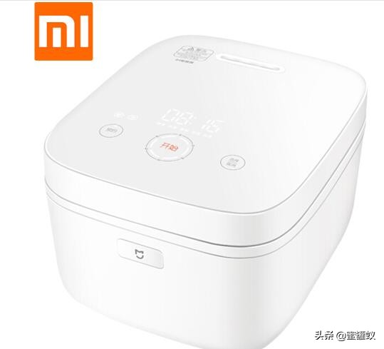 国内十大电饭煲排名（国内10大电饭煲品牌排行榜）