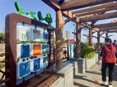 ​霞山观海长廊红树林栈道又上新了