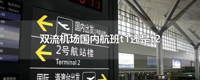​双流机场国内航班t1还是t2