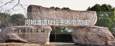 ​河姆渡遗址位于哪个流域?