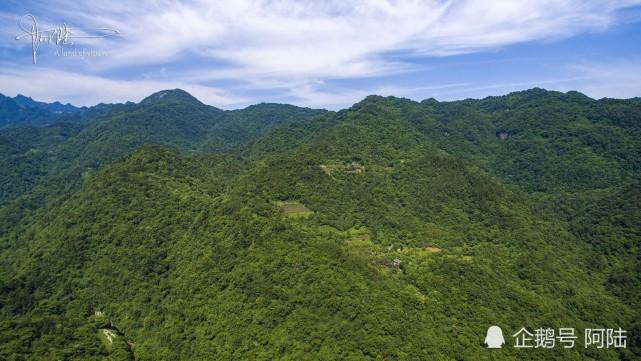 层峦叠翠的意思是什么(层峦叠翠的解释)