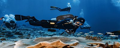 ​潜水兵是什么兵种