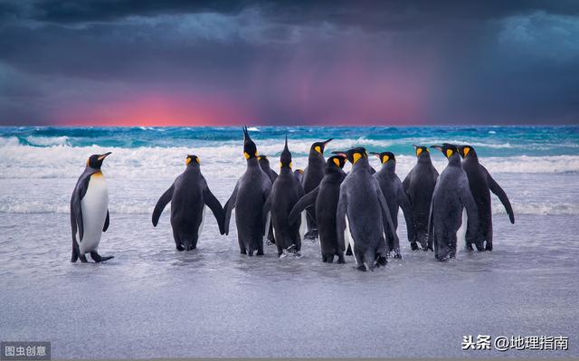 南极发现神秘人脸(猫眼地理-人人声索)(6)