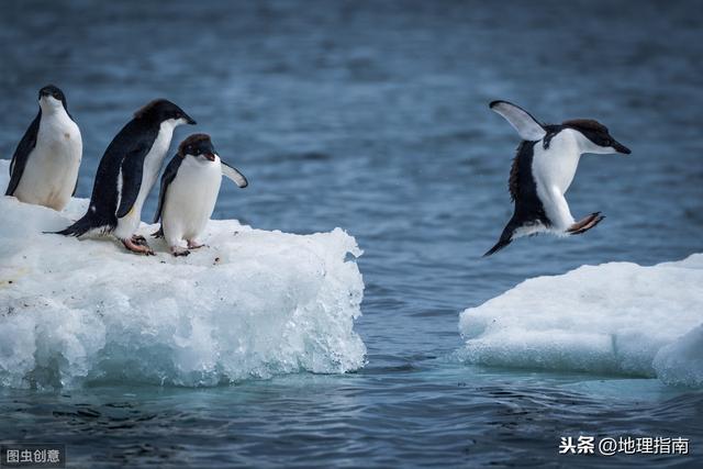 南极发现神秘人脸(猫眼地理-人人声索)(10)