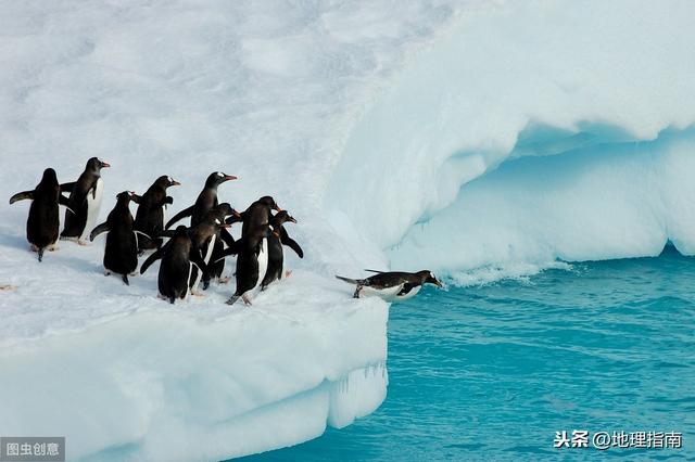 南极发现神秘人脸(猫眼地理-人人声索)(5)