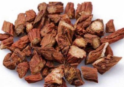 ​丹参的功效（活血祛瘀要药）