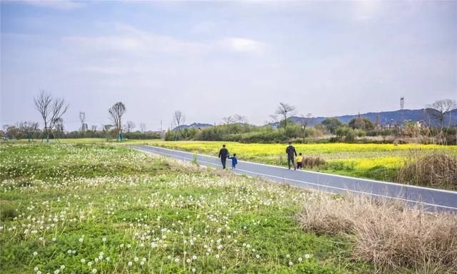 良渚古城遗址位于浙江省哪里,两栖古城遗址位于浙江省哪里?图6
