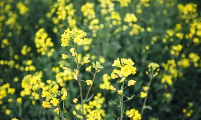 良渚古城遗址位于浙江省哪里,两栖古城遗址位于浙江省哪里?图5