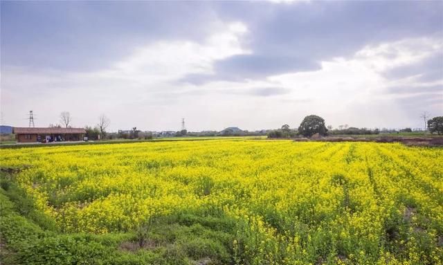 良渚古城遗址位于浙江省哪里,两栖古城遗址位于浙江省哪里?图4