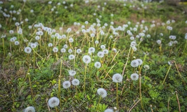 良渚古城遗址位于浙江省哪里,两栖古城遗址位于浙江省哪里?图7