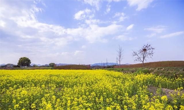 良渚古城遗址位于浙江省哪里,两栖古城遗址位于浙江省哪里?图3