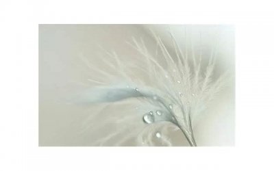 ​女人消失了意味着什么 男人怎样挽回女人心