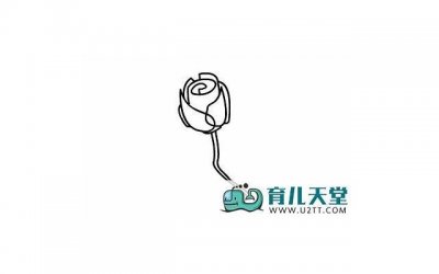 ​十一朵玫瑰花的花语（玫瑰花花语多少朵代表什么）