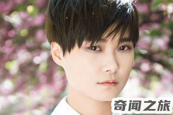 李宇春嫁给外国富豪了吗(李宇春嫁78岁外国富翁是真的吗)(2)_