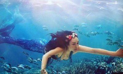 ​钟丽缇很有钱吗