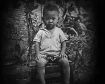 李连杰的爷爷是谁(李连杰的家世背景到底有多牛?爷爷爸爸的简介至今不敢公开)